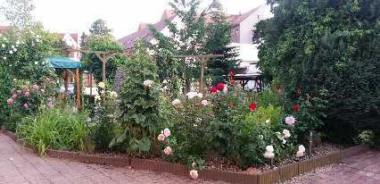 Bild 15