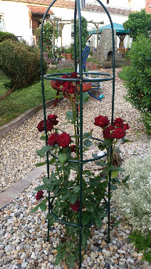Bild 16